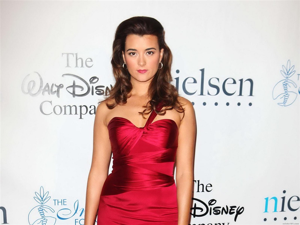 Cote de Pablo 蔻特·德·帕布羅 美女壁紙 #7 - 1024x768
