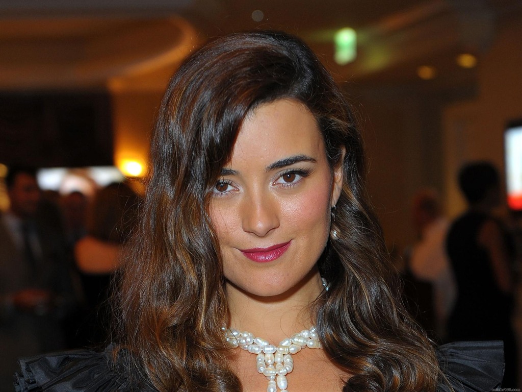 Cote de Pablo 蔻特·德·帕布羅 美女壁紙 #9 - 1024x768