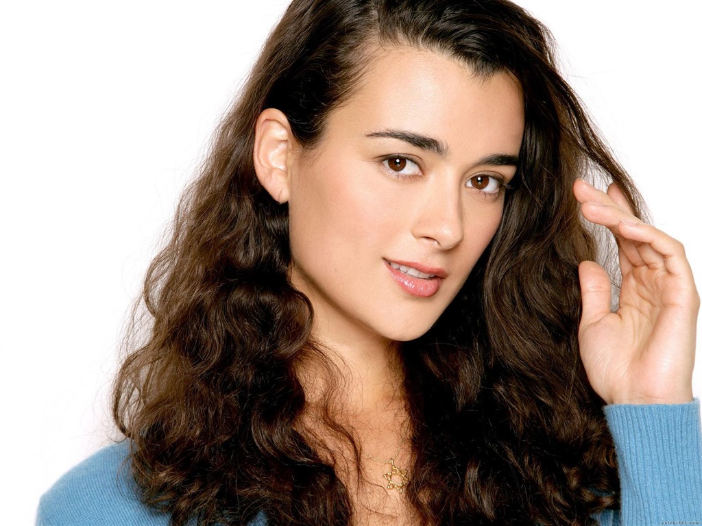 Cote de Pablo hermoso fondo de pantalla #12 - 1024x768