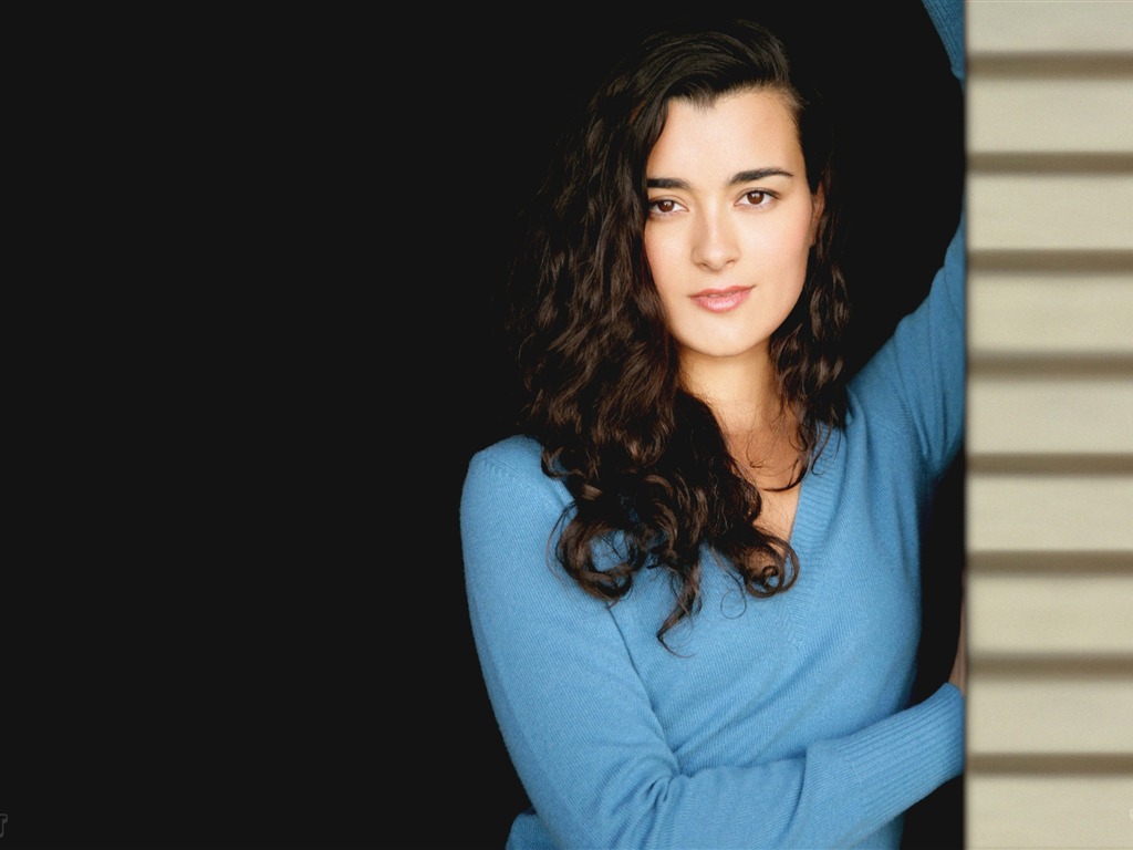 Cote de Pablo hermoso fondo de pantalla #14 - 1024x768