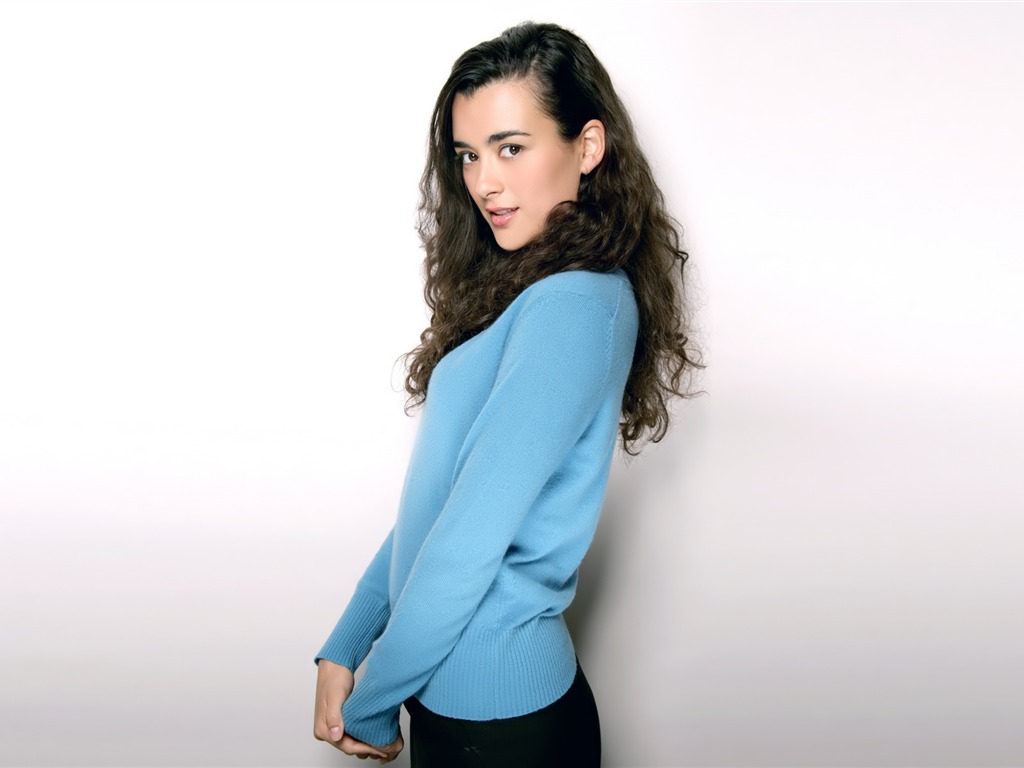 Cote de Pablo krásnou tapetu #15 - 1024x768