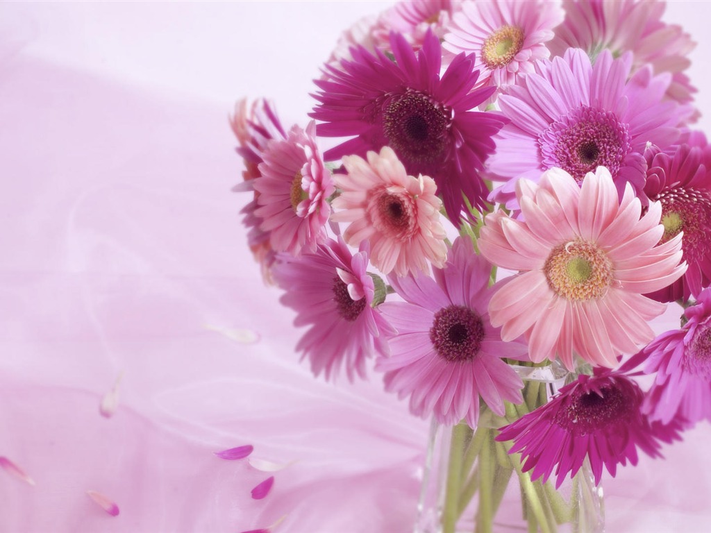fondos de escritorio de flores con pantalla ancha de cerca (33) #3 - 1024x768