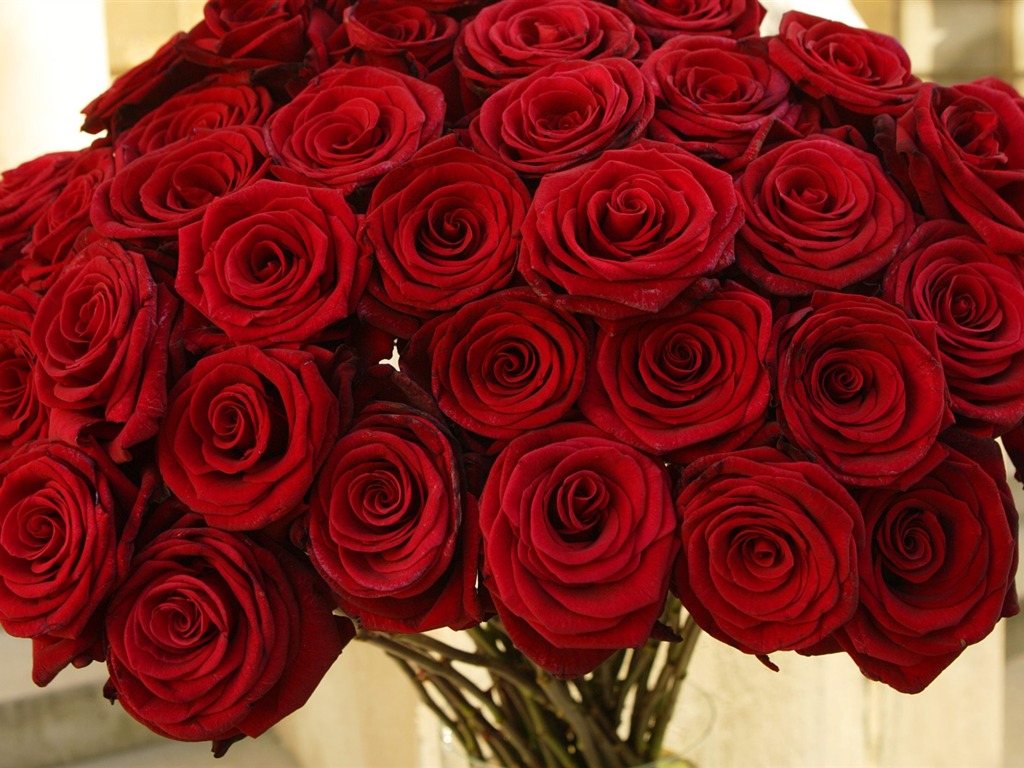 ワイドスクリーンの壁紙の花に近い(33)を開く #13 - 1024x768
