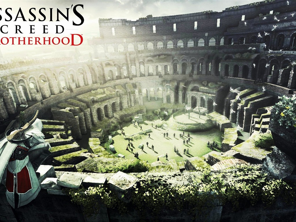 Assassins Creed: Brotherhood HD Wallpaper #13 - 1024x768