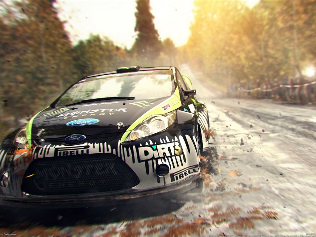 DiRT 3 HD wallpapers #2 - 1024x768