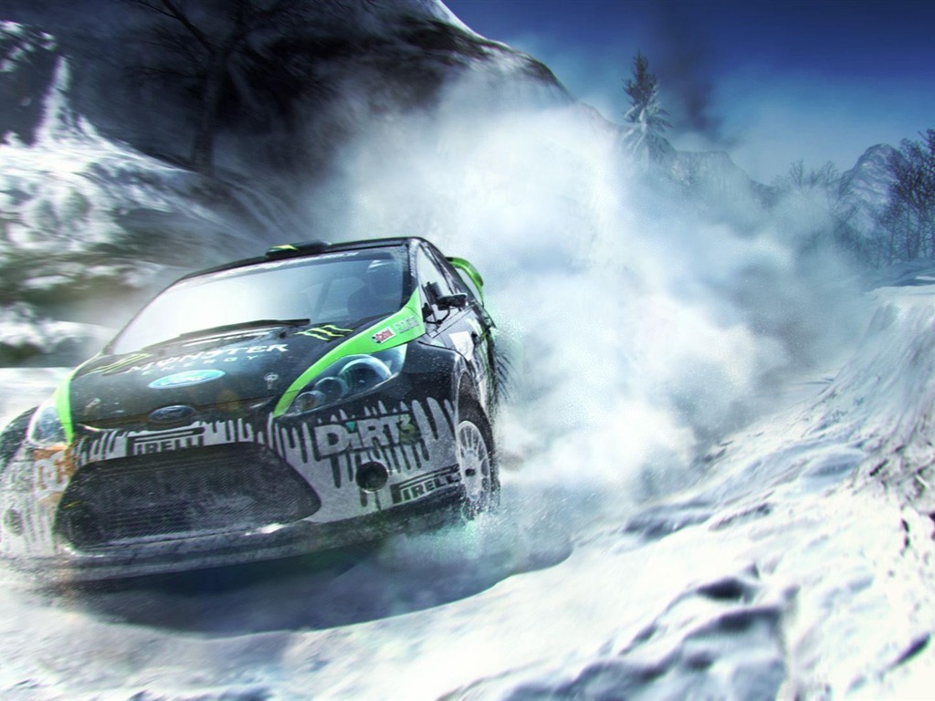 DiRT 3 fondos de pantalla HD #8 - 1024x768