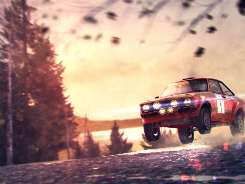 DiRT 3 HD wallpapers #10 - 1024x768