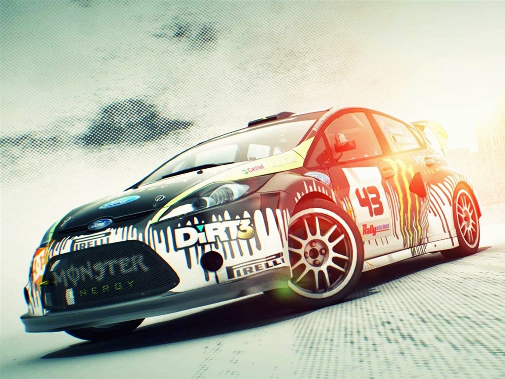 DiRT 3 HD wallpapers #13 - 1024x768