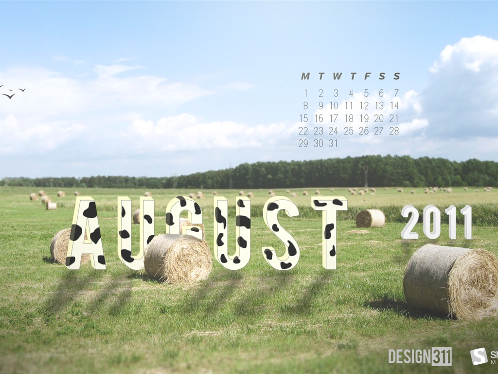 August 2011 calendar wallpaper (1) #11 - 1024x768