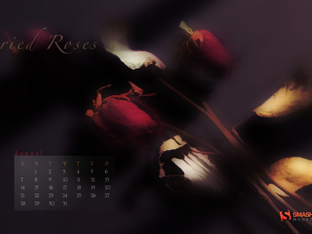 2011年8月 月曆壁紙(一) #14 - 1024x768