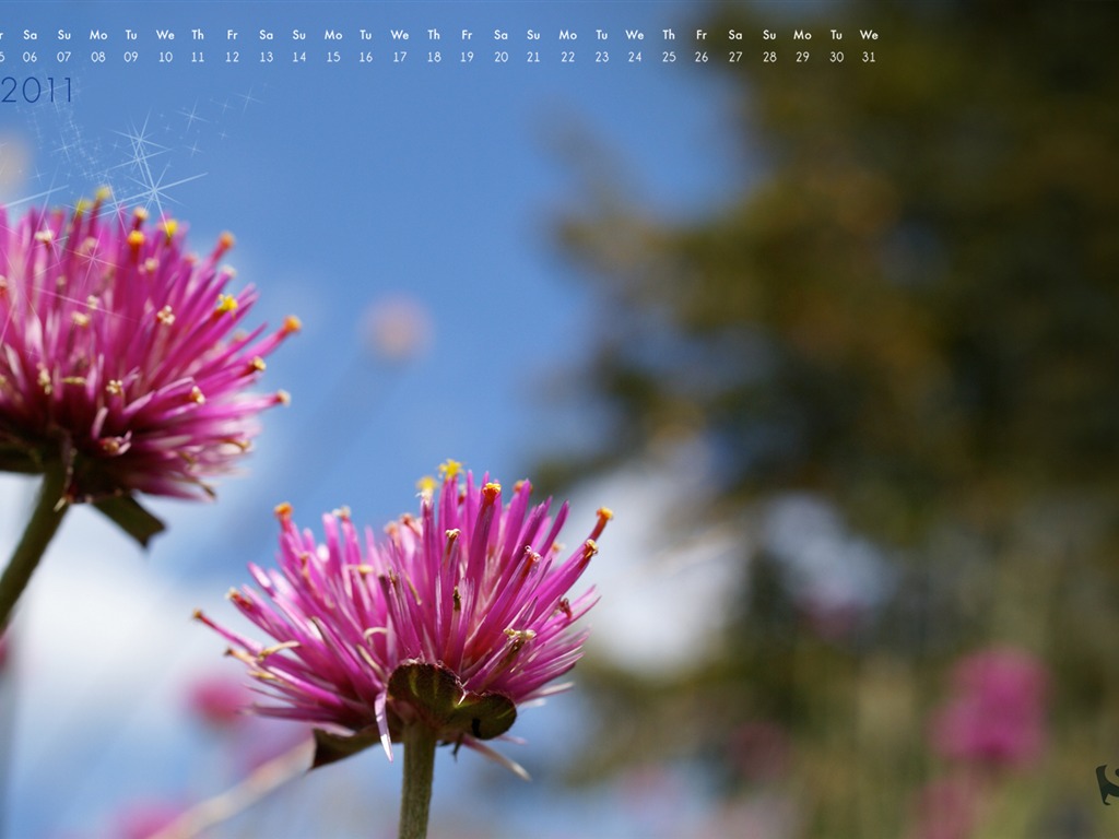 August 2011 calendar wallpaper (2) #7 - 1024x768