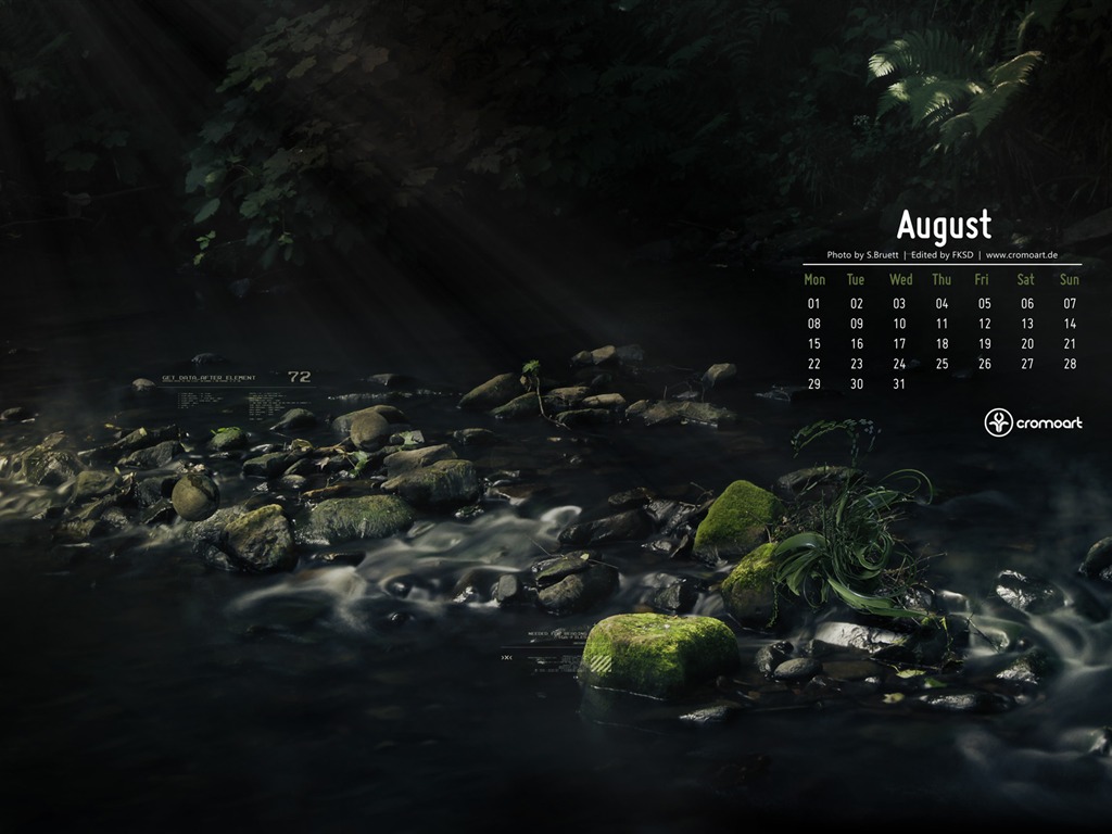 August 2011 calendar wallpaper (2) #20 - 1024x768