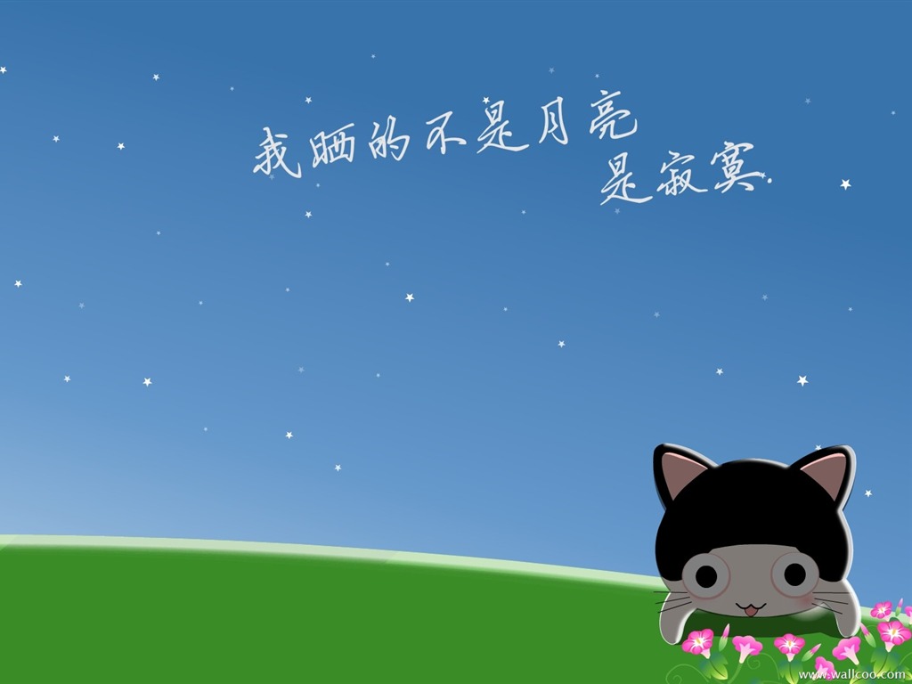 貓咪寶貝 卡通壁紙(三) #17 - 1024x768