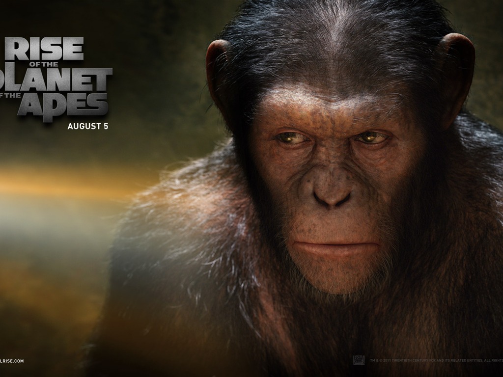 Rise of Planet of the Apes tapet #1 - 1024x768