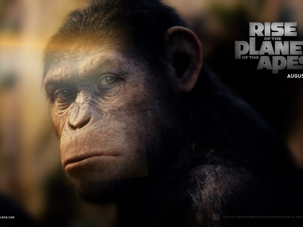 Rise of the Planet of the Apes 猿族崛起壁紙專輯 #2 - 1024x768
