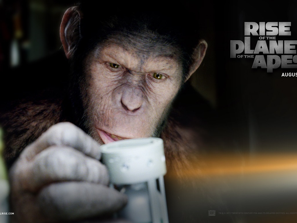 Rise of the Planet of the Apes 猿族崛起壁紙專輯 #3 - 1024x768
