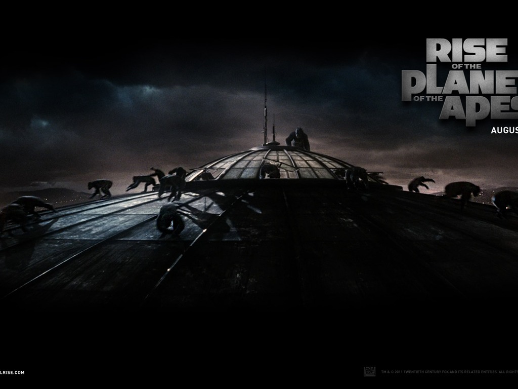Rise of Planet of the Apes tapet #6 - 1024x768