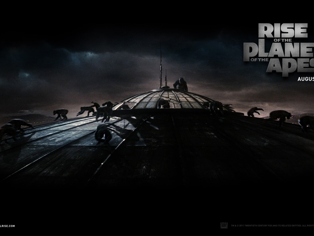 Rise of the Planet of the Apes 猿族崛起壁紙專輯 #6 - 1024x768