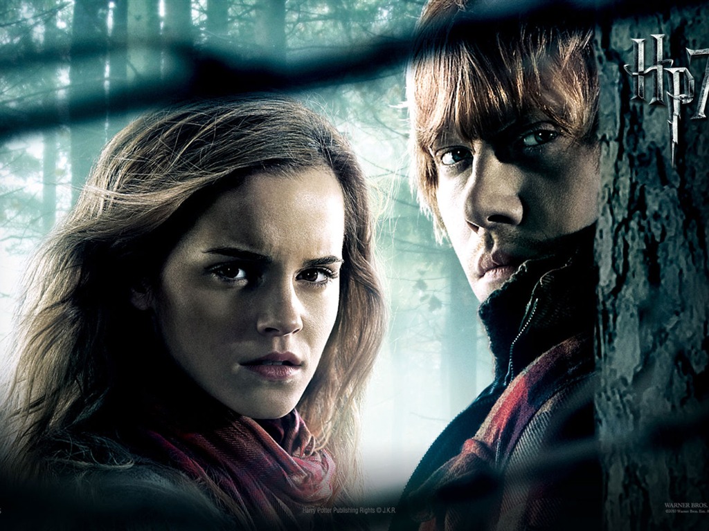 Harry Potter and the Deathly Hallows 哈利·波特與死亡聖器 高清壁紙 #4 - 1024x768