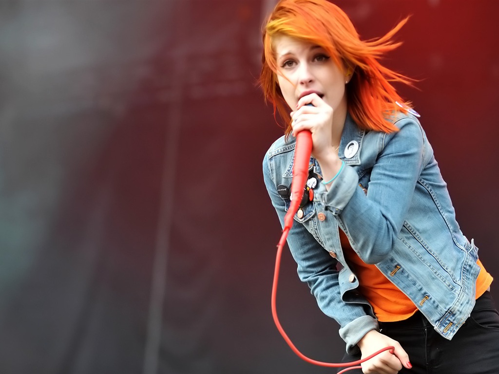 Hayley Williams 海莉·威廉姆斯 美女壁紙 #25 - 1024x768