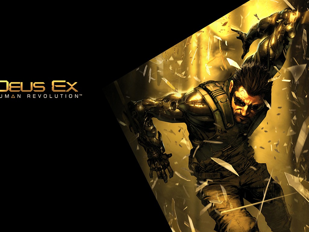 Deus Ex: Human Revolution HD Wallpaper #13 - 1024x768