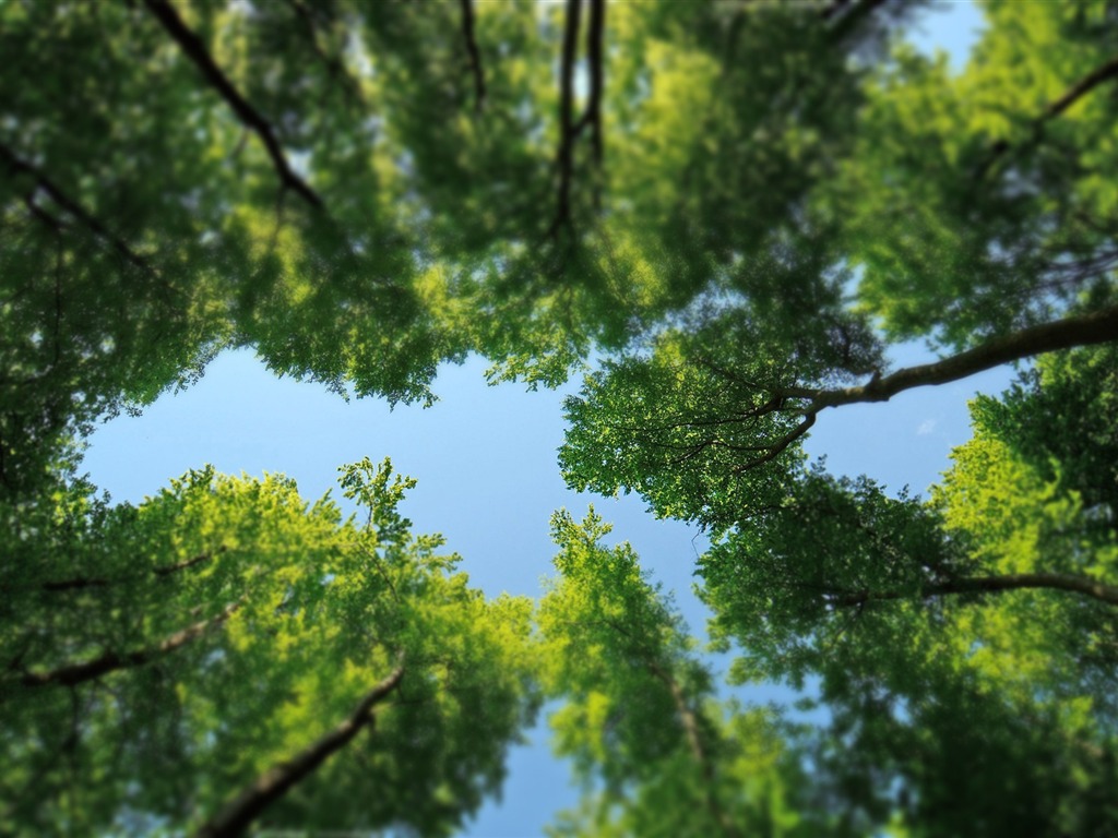 以真亂假 移軸攝影 微縮景觀壁紙(三) #21 - 1024x768