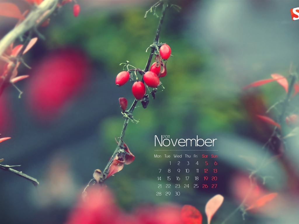 Novembre 2011 Calendar Wallpaper (1) #7 - 1024x768