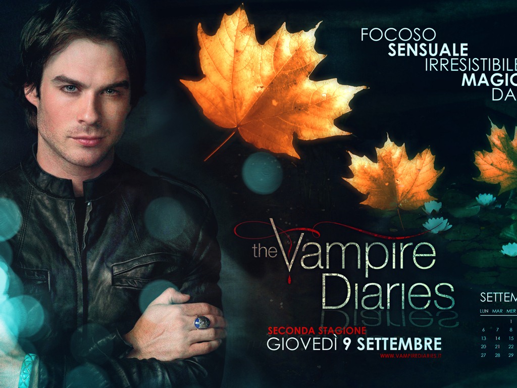 The Vampire Diaries HD 吸血鬼日記 高清壁紙 #16 - 1024x768