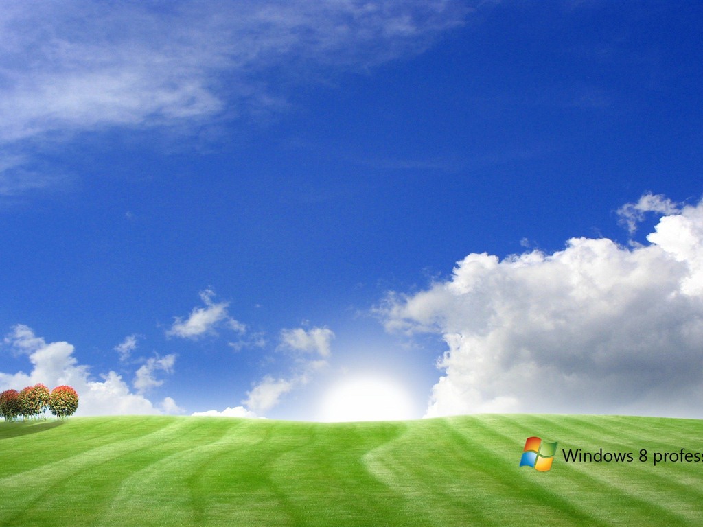 Windows 8 theme wallpaper (1) #2 - 1024x768