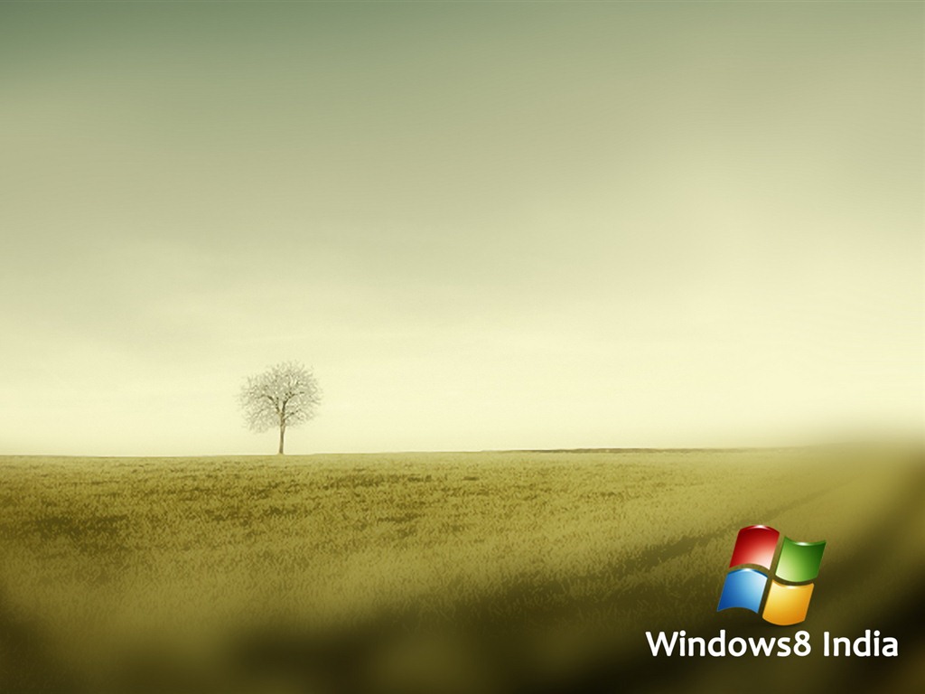 Windows 8 tema de fondo de pantalla (1) #5 - 1024x768