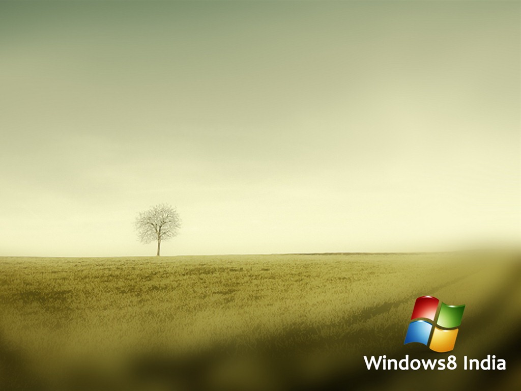 Windows 8 theme wallpaper (1) #5 - 1024x768