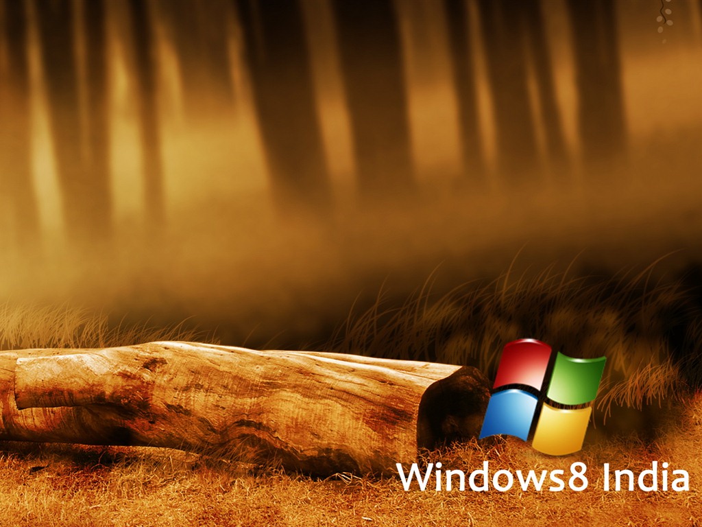 Windows 8 主题壁纸 (一)8 - 1024x768