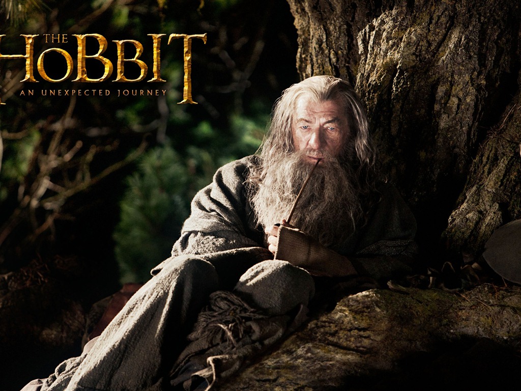 The Hobbit: An Unexpected Journey 霍比特人：意外旅程 #10 - 1024x768