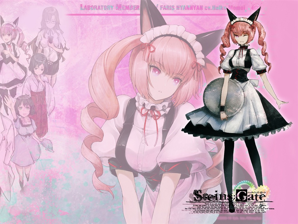 Steins Gate 命運石之門 高清壁紙 #19 - 1024x768