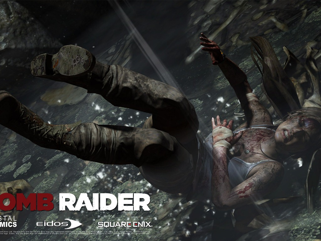 Tomb Raider 9 fondos de pantalla HD #4 - 1024x768