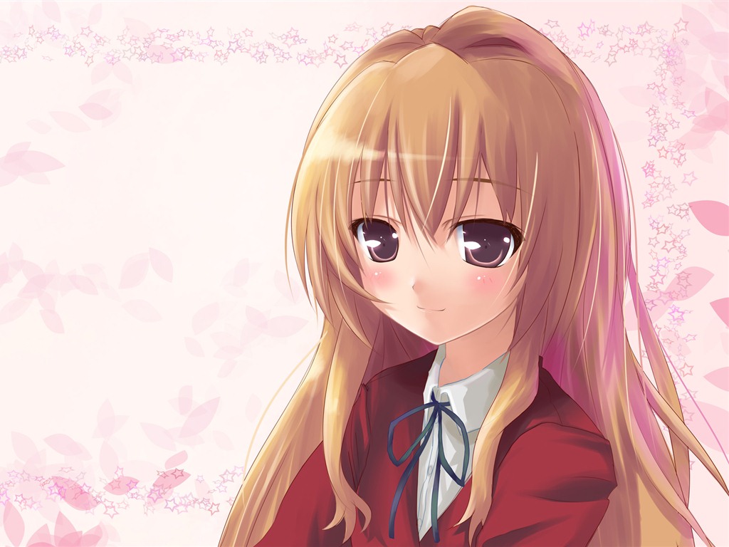 Toradora 龍與虎 高清壁紙 #16 - 1024x768