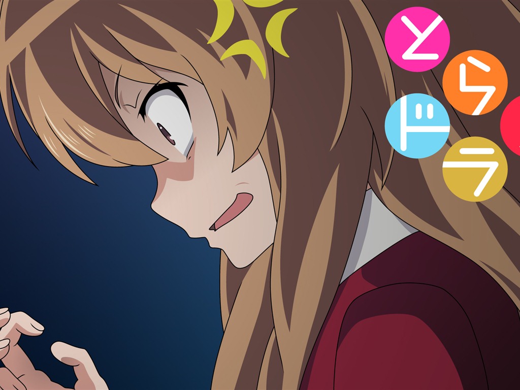 Toradora 龍與虎 高清壁紙 #24 - 1024x768