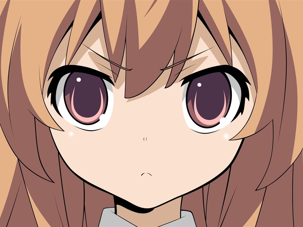 Toradora 龍與虎 高清壁紙 #37 - 1024x768