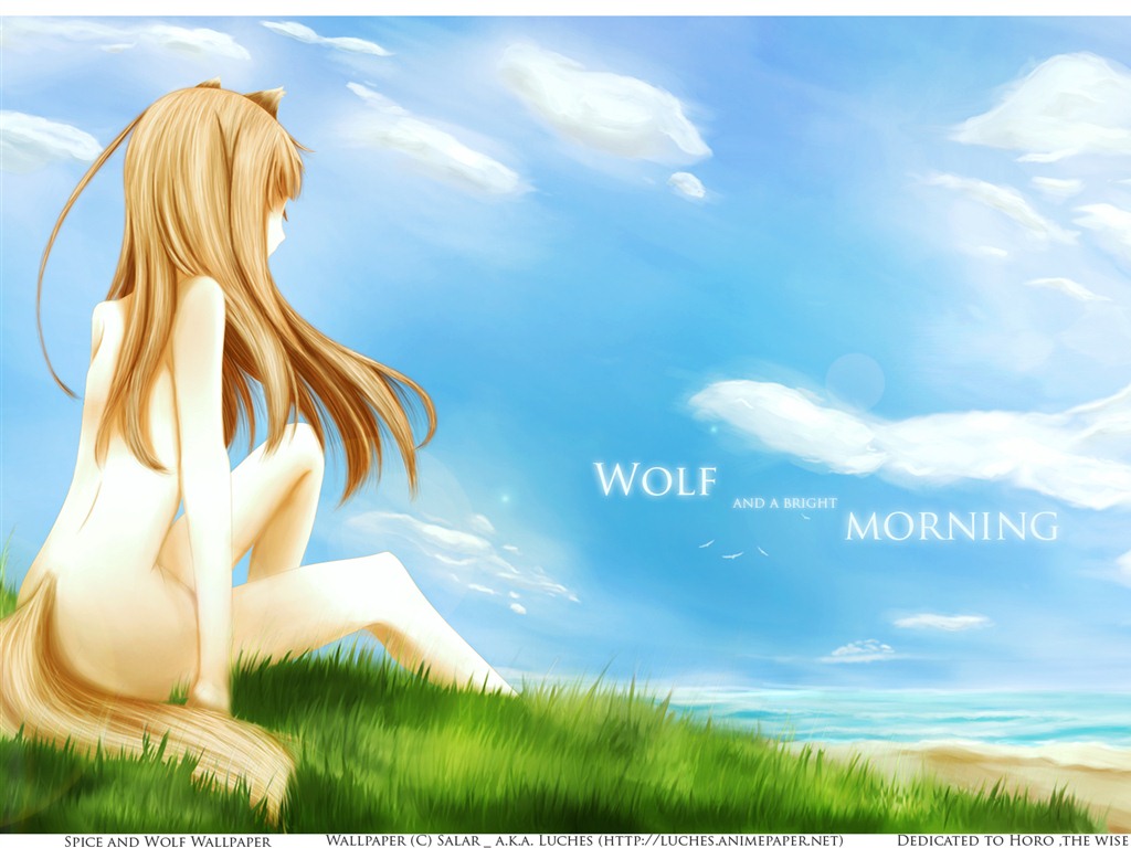Spice and Wolf 狼與香辛料 高清壁紙 #18 - 1024x768