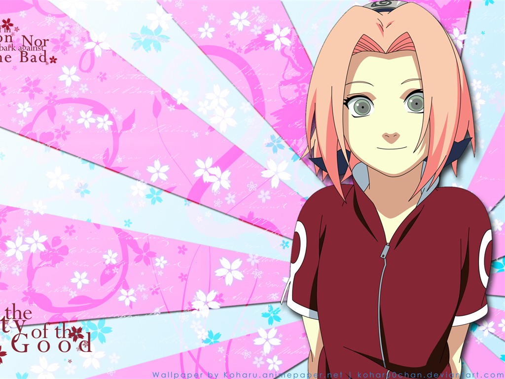 Naruto anime HD tapety na plochu #37 - 1024x768