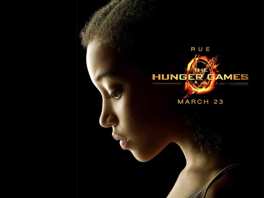 The Hunger Games HD wallpapers #2 - 1024x768