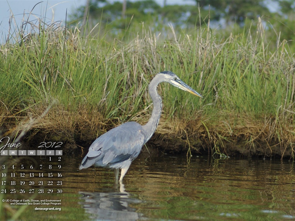 June 2012 Calendar wallpapers (1) #10 - 1024x768