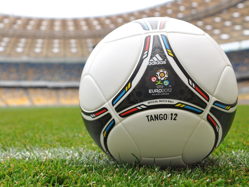 UEFA EURO 2012年歐錦賽高清壁紙(二) #14 - 1024x768