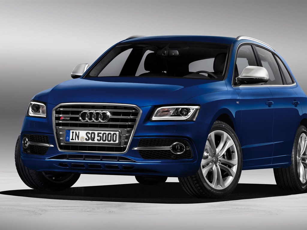2013 Audi SQ5 TDI 奧迪 高清壁紙 #1 - 1024x768