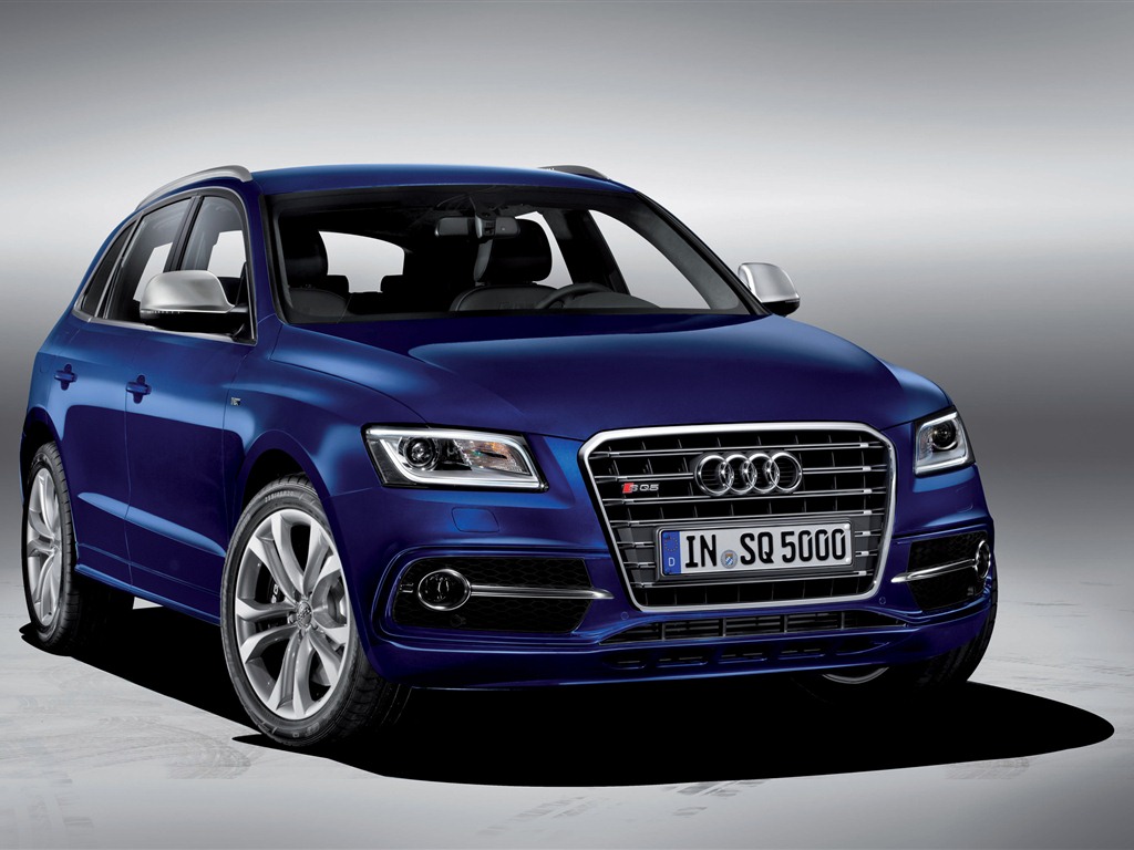 2013 Audi SQ5 TDI 奧迪 高清壁紙 #2 - 1024x768