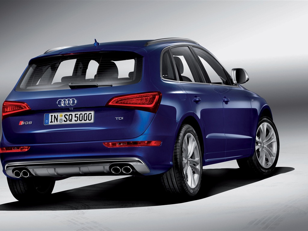 2013 Audi SQ5 TDI 奥迪 高清壁纸4 - 1024x768