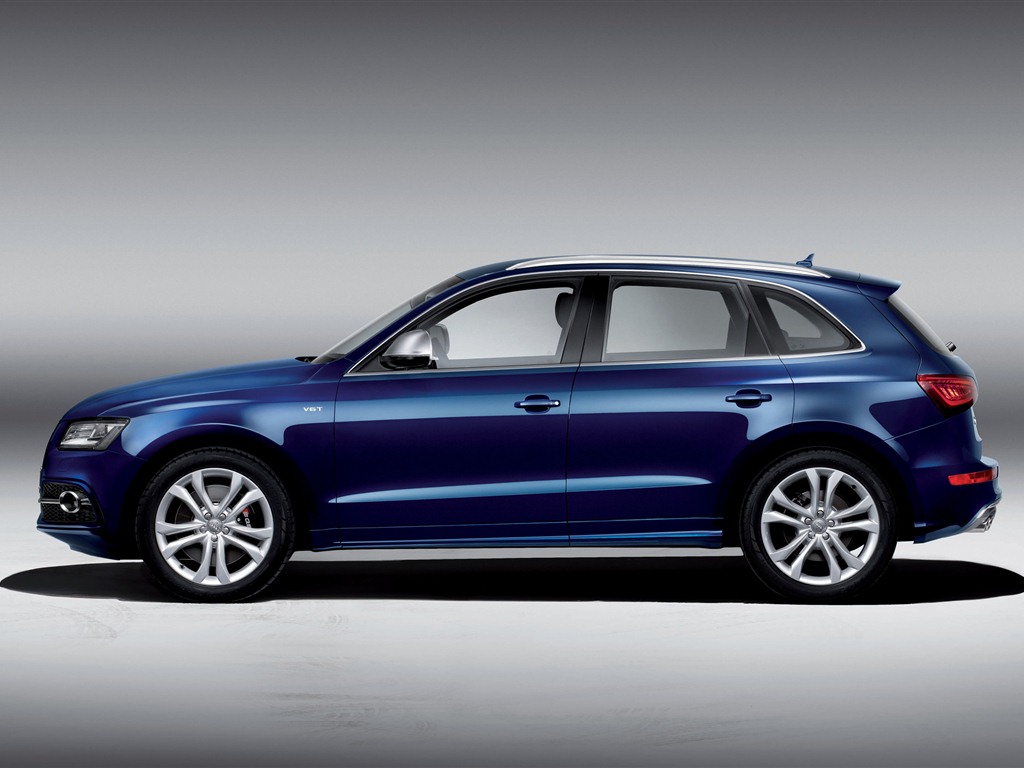 2013 Audi SQ5 TDI 奥迪 高清壁纸5 - 1024x768