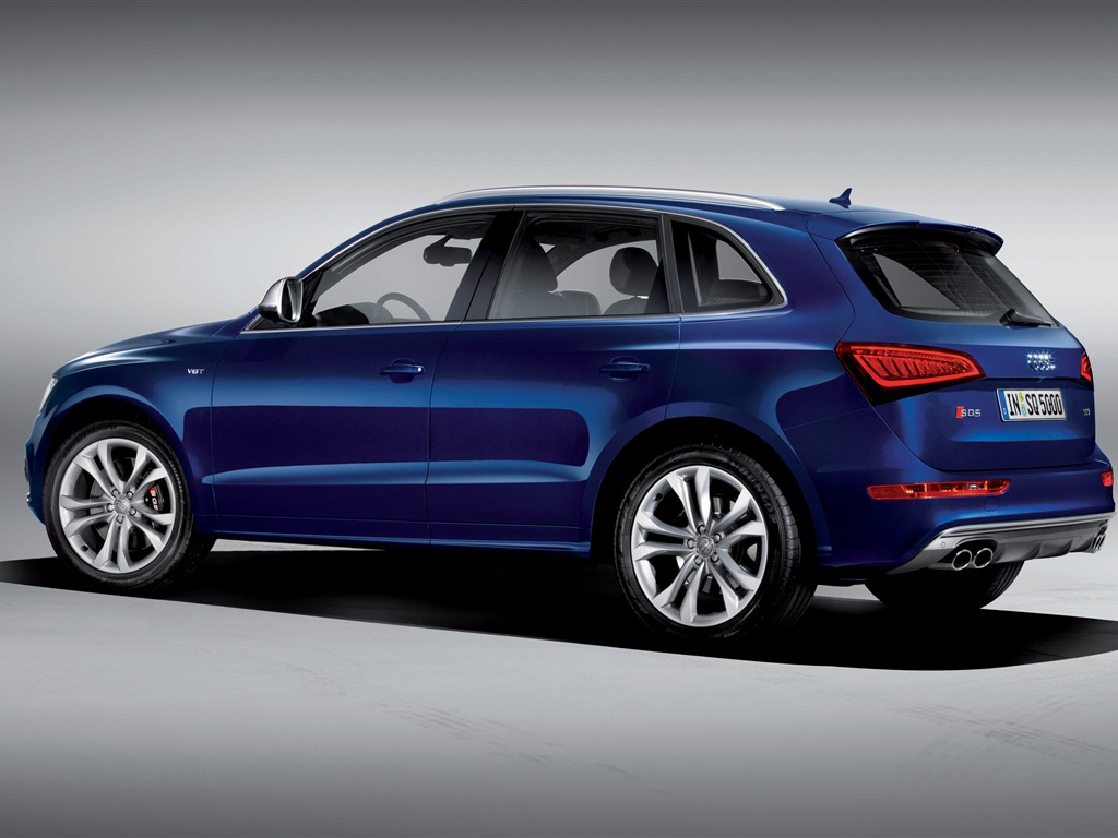 2013 Audi SQ5 TDI 奥迪 高清壁纸6 - 1024x768