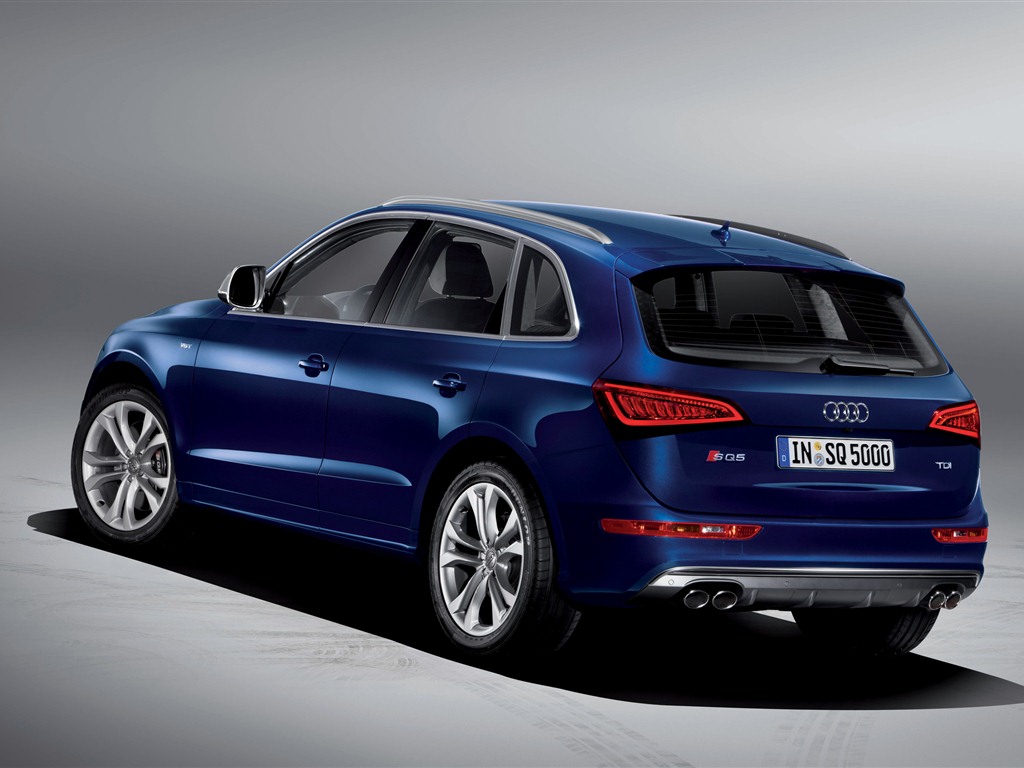 2013 Audi SQ5 TDI 奥迪 高清壁纸7 - 1024x768