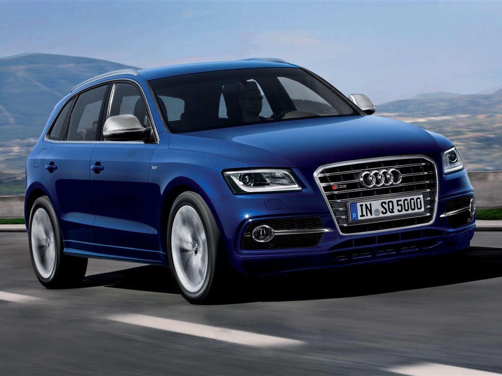 2013 Audi SQ5 TDI 奥迪 高清壁纸8 - 1024x768